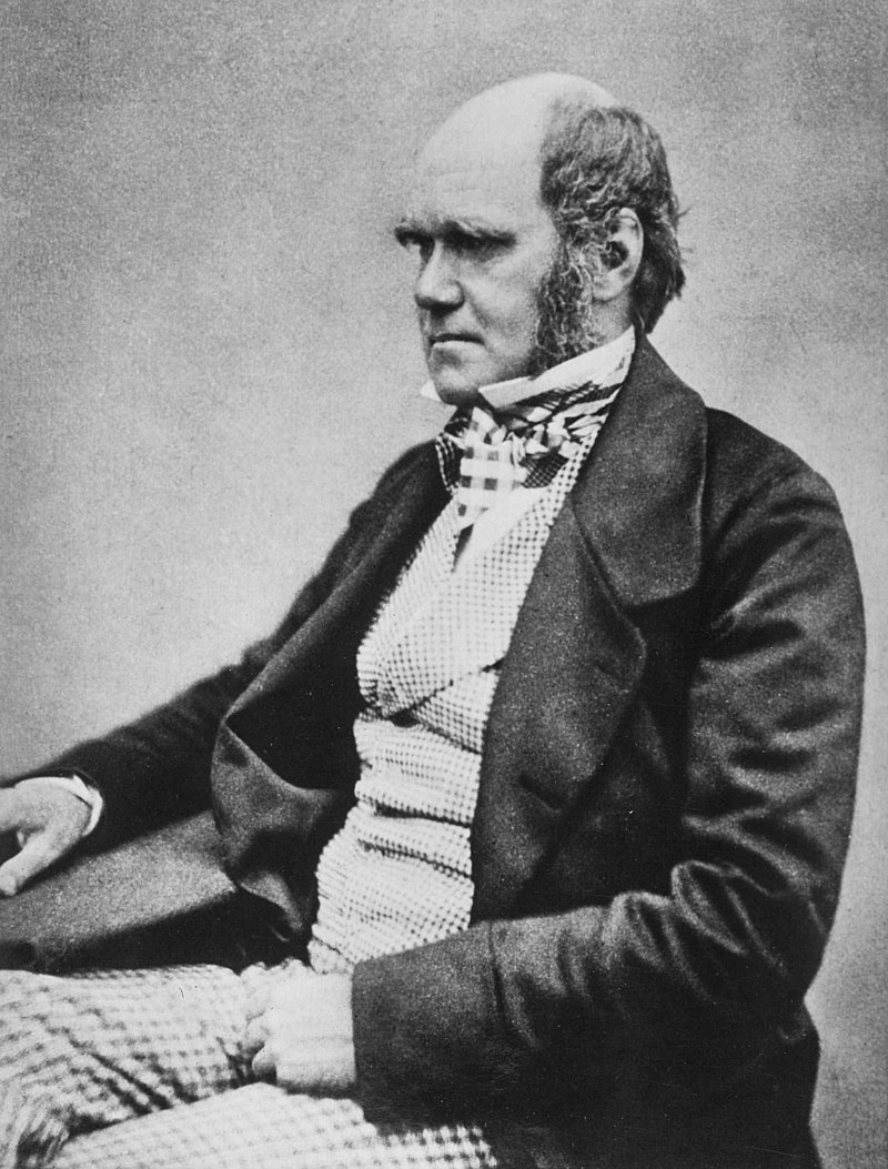 Wook.pt - Charles Darwin