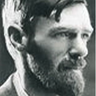 Wook.pt - D. H. Lawrence